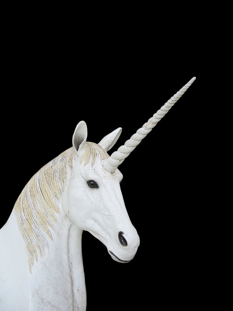 Unicorn Quests